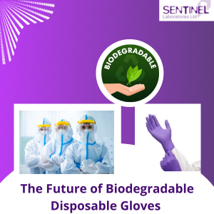 Eco-Friendly PPE: The Future of Biodegradable Disposable Gloves