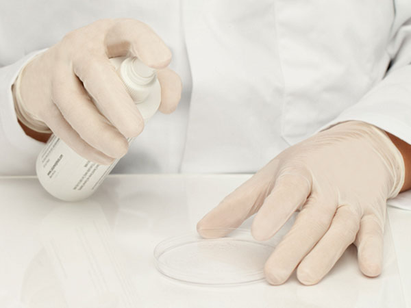 A Person in a White Lab Coat Wearing BioClean Profile 3000 Powder-Free Nitrile Gloves Spraying Liquid onto a Petri Dish