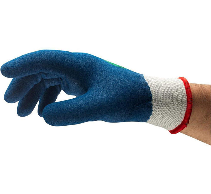 A Person Wearing a Single Blue and White Cuff POWERFLEX 80-409® (Previously Nitrotough™ N1700 Insulator) Knitted Glove - Sentinel Laboratories Ltd