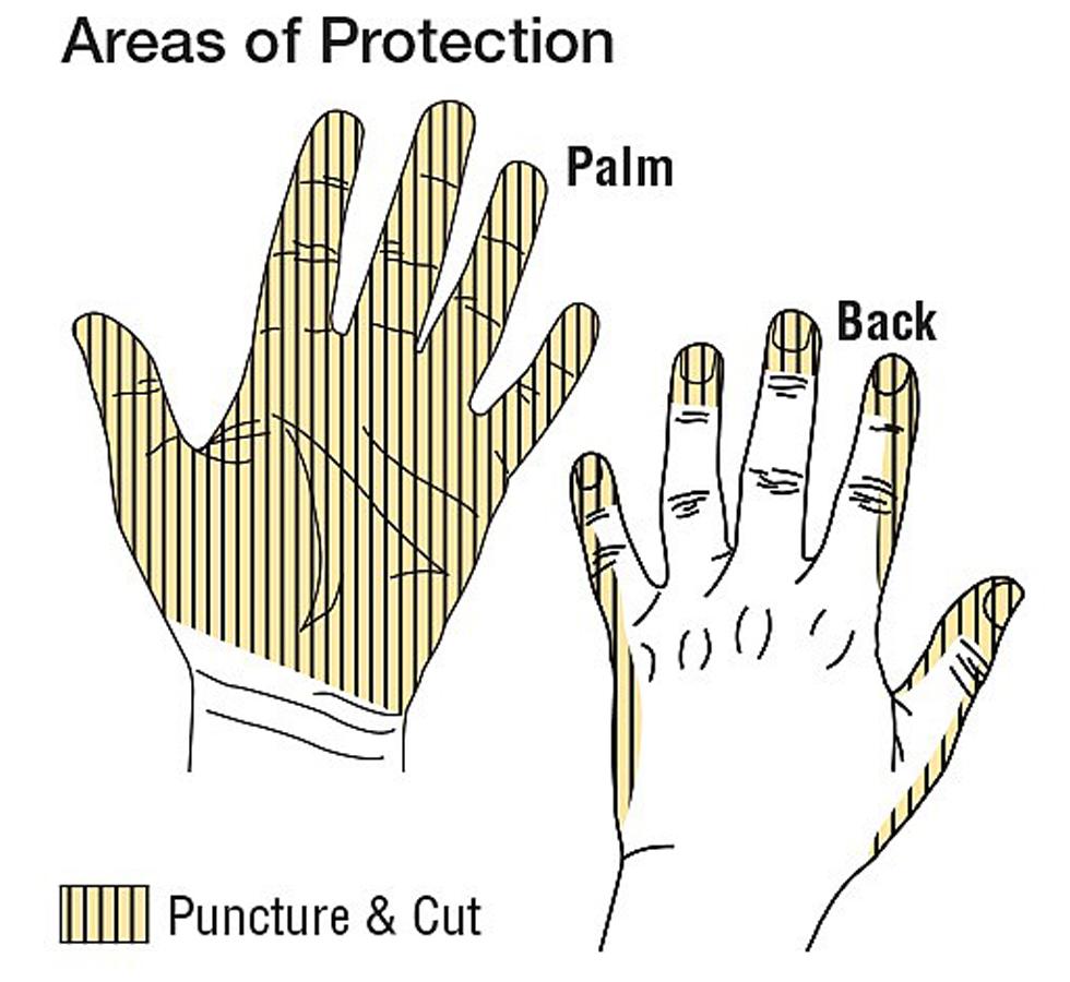 Diagram Showing Areas of Protection for TurtleSkin® CP Neon Insider 330 Gloves - Sentinel Laboratories Ltd