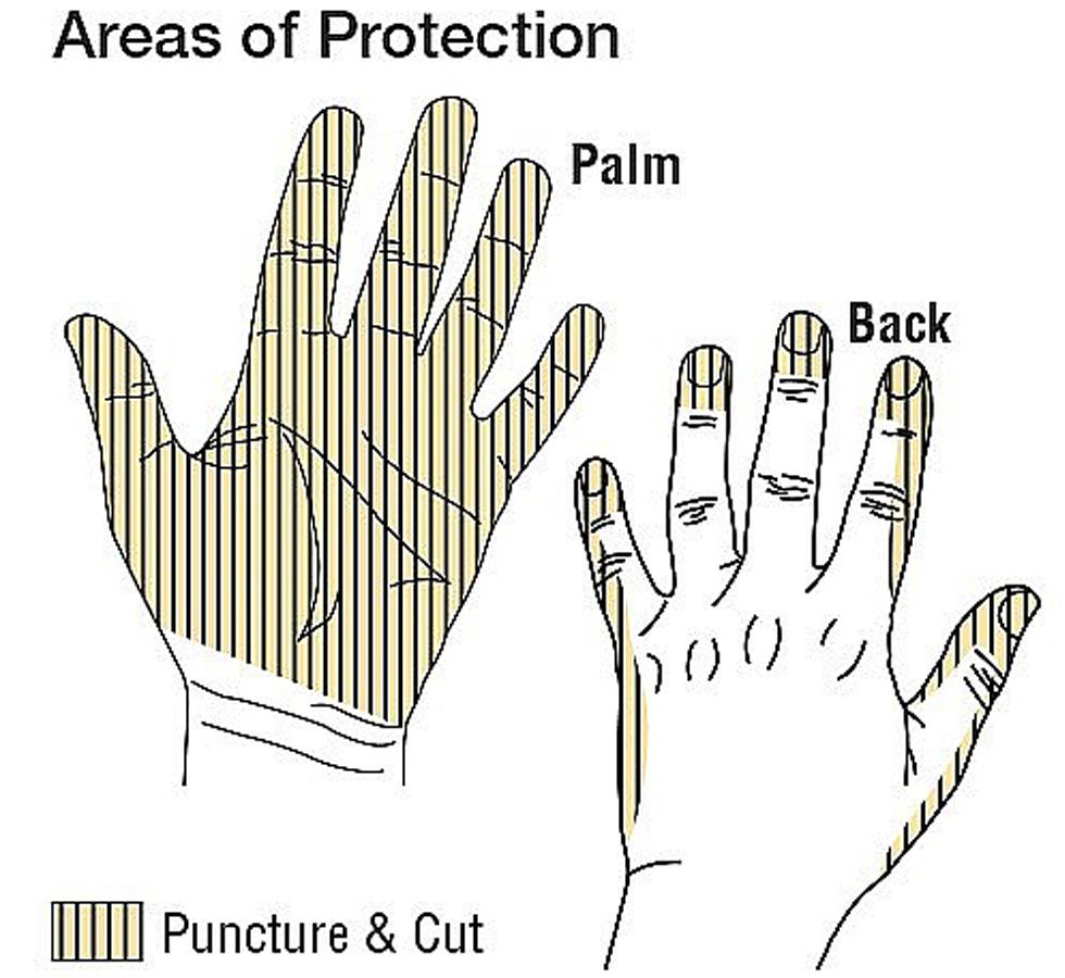 Diagram Showing Areas of Protection for TurtleSkin® CP Neon Insider 430 Gloves - Sentinel Laboratories Ltd