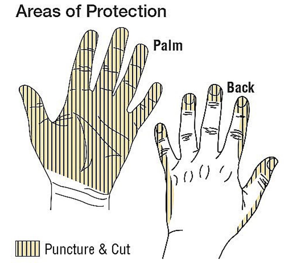 Diagram Showing Areas of Protection for TurtleSkin® CP Neon Insider 530 Gloves - Sentinel Laboratories Ltd
