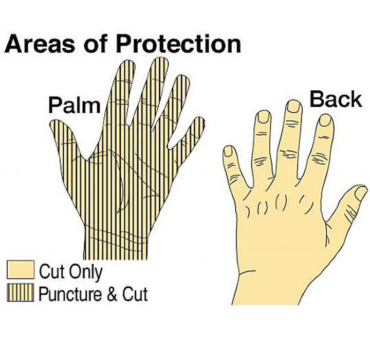 Diagram Showing Areas of Protection for TurtleSkin® Insider Plus Gloves - Sentinel Laboratories Ltd