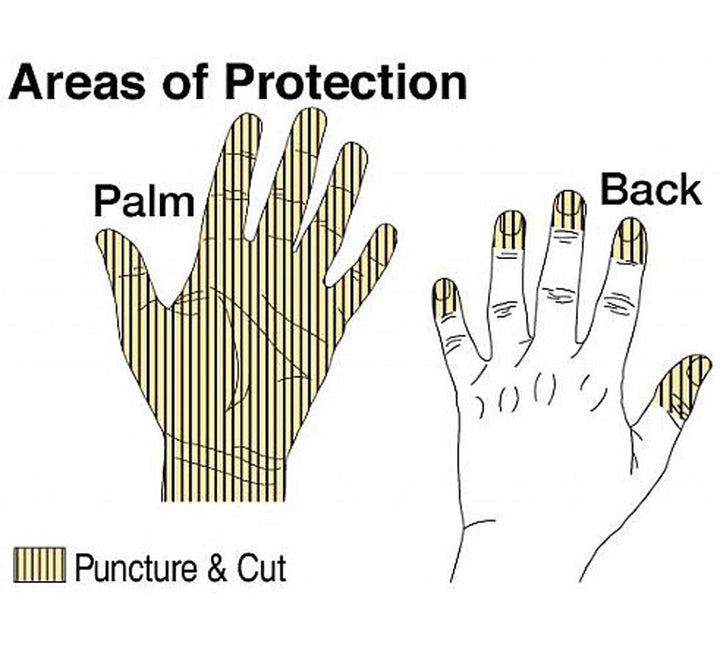 Diagram Showing Areas of Protection for TurtleSkin® WorkWear Plus Gloves - Sentinel Laboratories Ltd