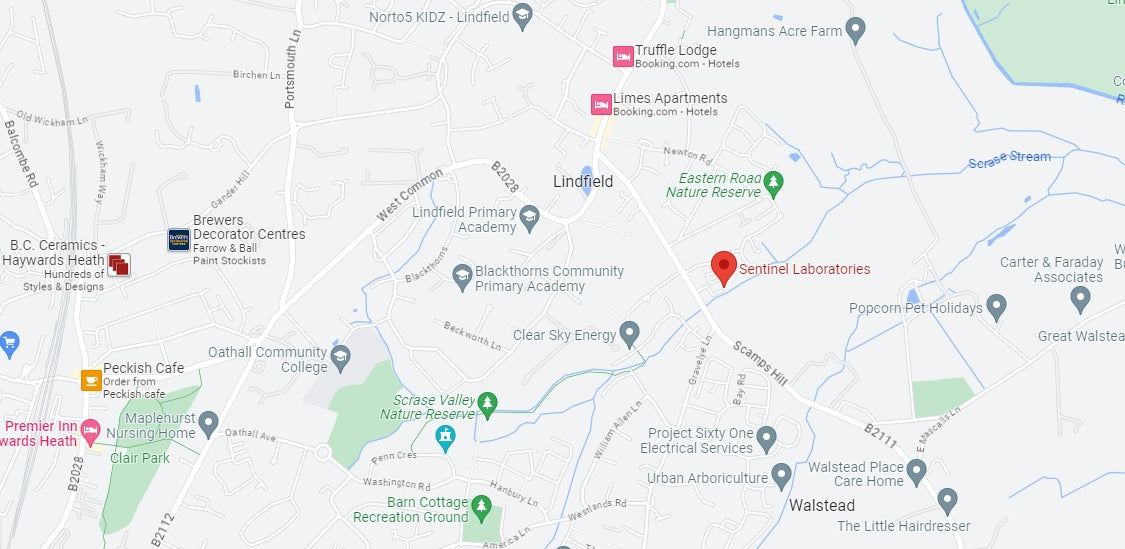 A google map image of the surrounding to RH16 2LH | Sentinel Laboratories Ltd
