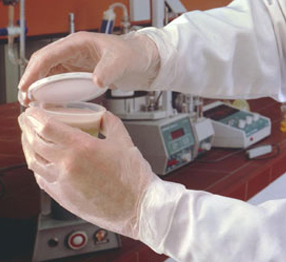 A Person Wearing a Pair of Vinyl DURATOUCH® 34-755 (Previously SureTouch V70N) Gloves Holding a Container in a Lab - Sentinel Laboratories Ltd
